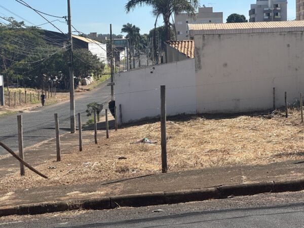 terreno