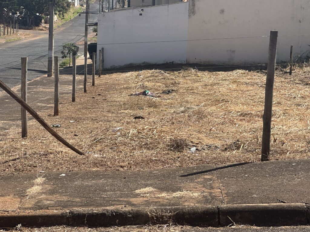 terreno